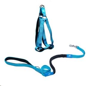 Step in Harness and Anti Shock Lead