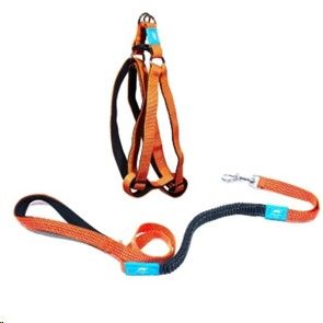 Step in Harness and Anti Shock Lead